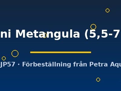 johani Metangula (5,5-7 cm)