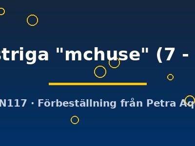 laterstriga "mchuse" (7 - 9 cm)