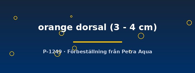 petra-ph2-175879 petra-ph2-175879