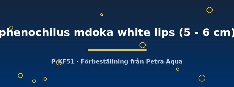 petra-ph2-175893 petra-ph2-175893