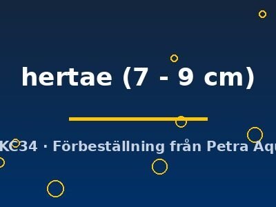 hertae (7 - 9 cm)