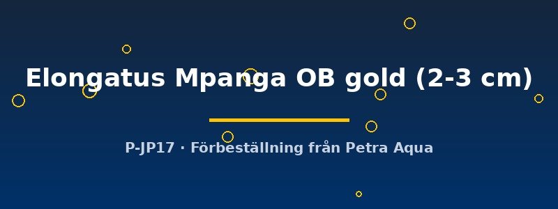 petra-ph2-175915 petra-ph2-175915