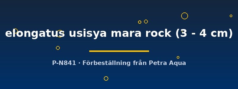 petra-ph2-175969 petra-ph2-175969