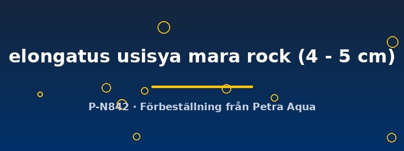 petra-ph2-175970 petra-ph2-175970