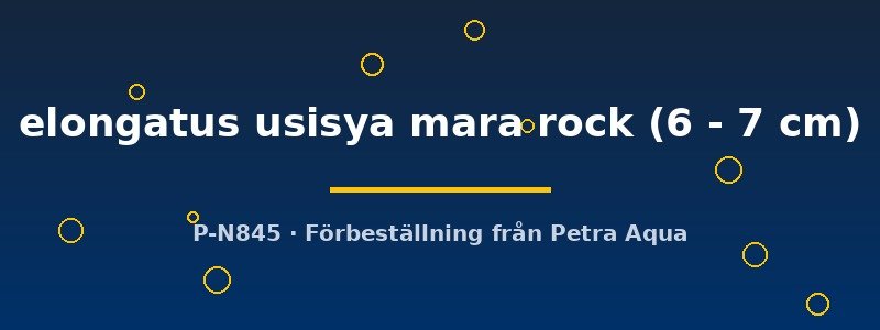 petra-ph2-175972 petra-ph2-175972