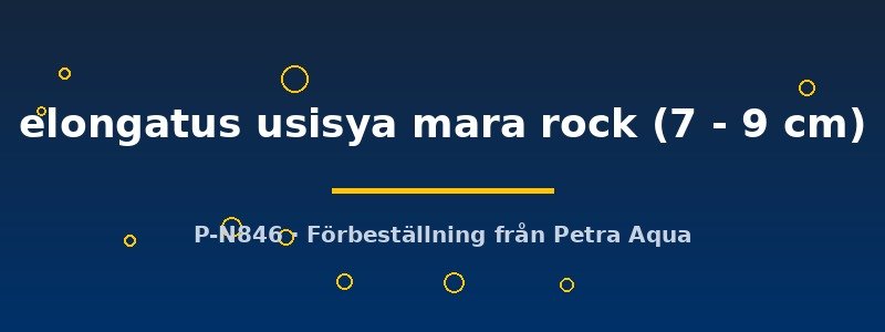 petra-ph2-175973 petra-ph2-175973