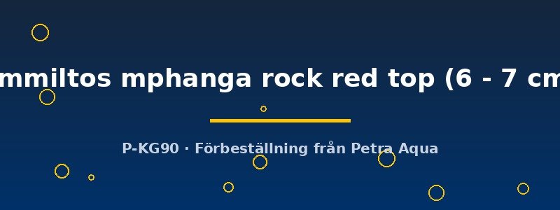petra-ph2-175978 petra-ph2-175978