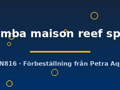 Pseudotropheus zebra chilumba maison reef sp. 4–5 cm