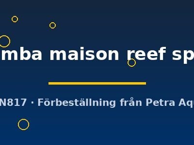 Pseudotropheus zebra chilumba maison reef sp. 5–6 cm