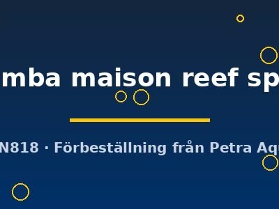 Pseudotropheus zebra chilumba maison reef sp. 7–9 cm