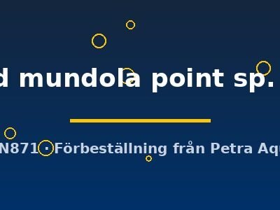 zebra gold mundola point sp. (4 - 5 cm)
