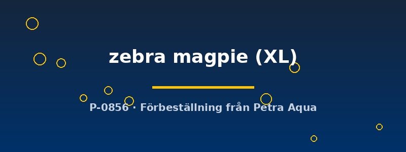 petra-ph2-176114 petra-ph2-176114
