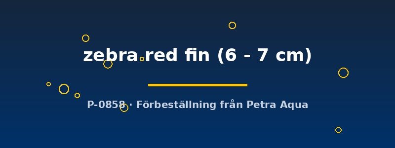 petra-ph2-176127 petra-ph2-176127