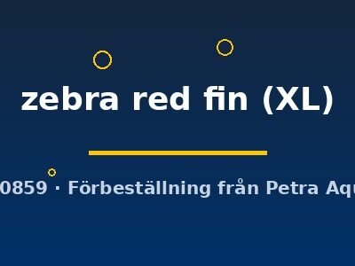 zebra red fin (XL)
