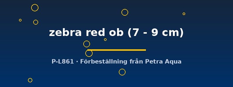 petra-ph2-176134 petra-ph2-176134