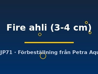 Sciaenochromis Fire ahli 3–4 cm
