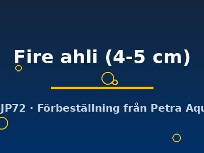 Sciaenochromis Fire ahli 4–5 cm