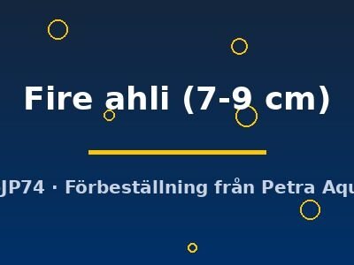 Sciaenochromis Fire ahli 7–9 cm