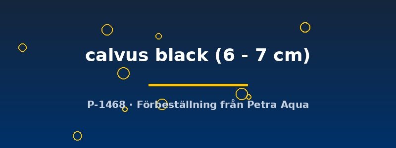 petra-ph2-176180 petra-ph2-176180
