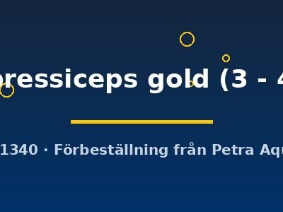 Altolamprologus compressiceps gold 3–4 cm
