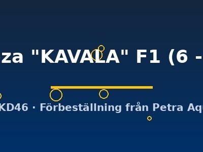 Cyphotilapia frontoza "KAVALA" F1 6–8 cm