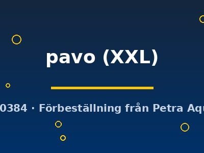 pavo (XXL)