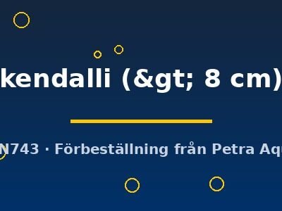 kendalli (> 8 cm)