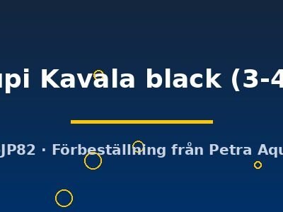 leleupi Kavala black (3-4 cm)