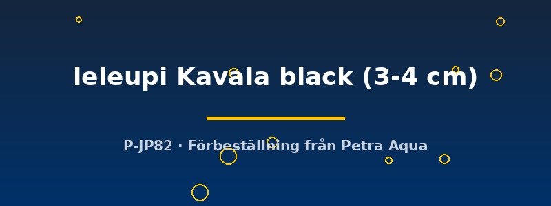 petra-ph2-176546 petra-ph2-176546