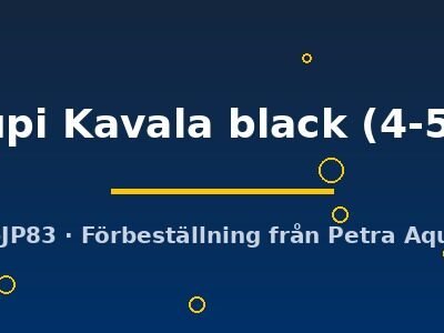 leleupi Kavala black (4-5 cm)