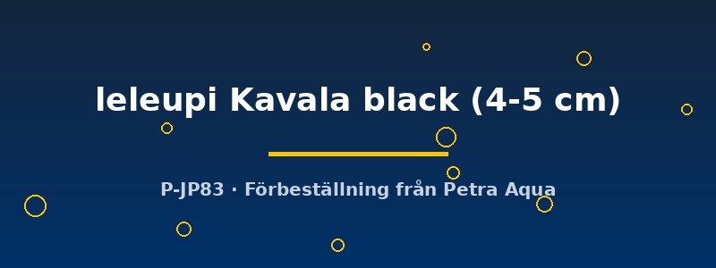 petra-ph2-176547 petra-ph2-176547