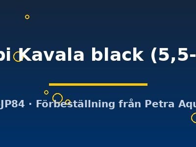 leleupi Kavala black (5,5-7 cm)