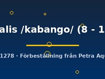 ventralis /kabango/ (8 - 10 cm)