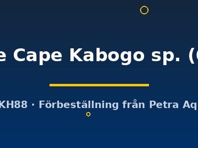 Kazumbe Cape Kabogo sp. (6 - 8 cm)