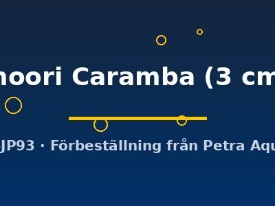 moori Caramba (3 cm)