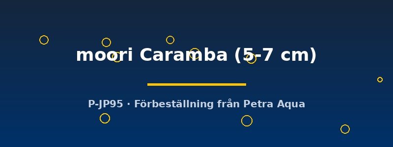 petra-ph2-176653 petra-ph2-176653