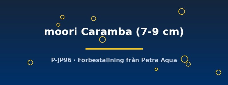 petra-ph2-176654 petra-ph2-176654