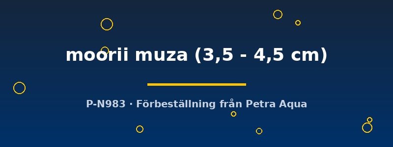 petra-ph2-176724 petra-ph2-176724
