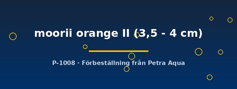 petra-ph2-176738 petra-ph2-176738