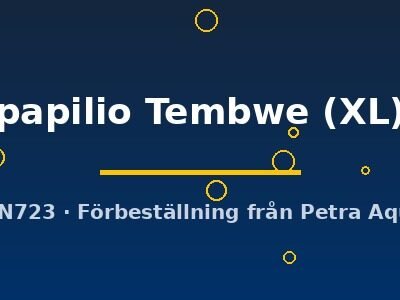 papilio Tembwe (XL)