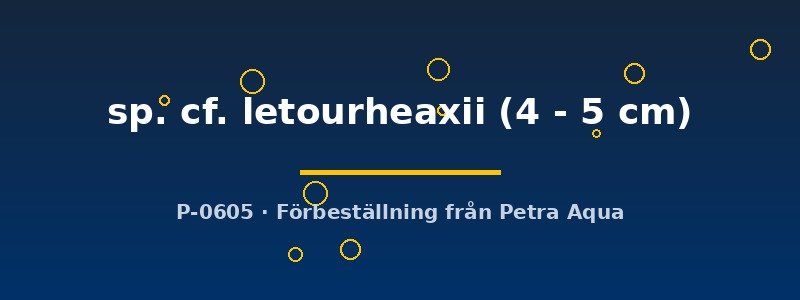 petra-ph2-176832 petra-ph2-176832