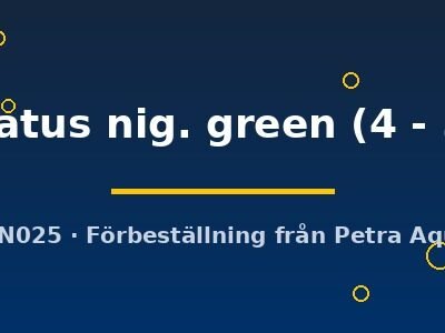 taeniatus nig. green (4 - 5 cm)