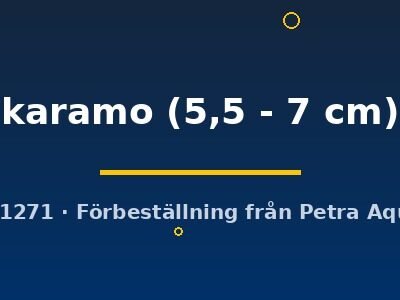 karamo (5,5 - 7 cm)