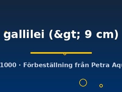 gallilei (> 9 cm)