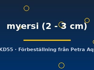 myersi (2 - 3 cm)