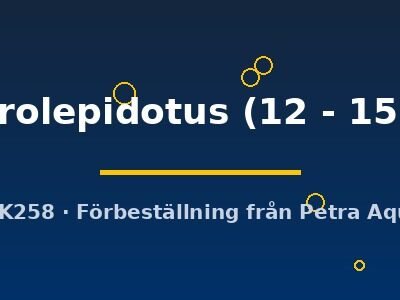 macrolepidotus (12 - 15 cm)