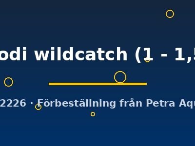 Cheirodon axelrodi wildcatch 1–1,5 cm
