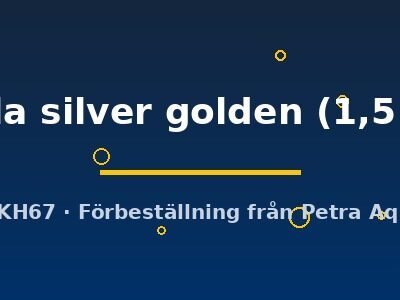 sternicla silver golden (1,5 - 2 cm)