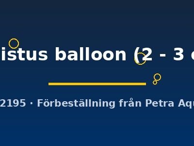 callistus balloon (2 - 3 cm)