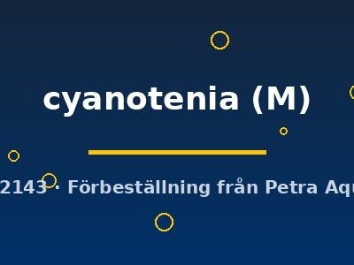Hyphessobrycon cyanotenia M